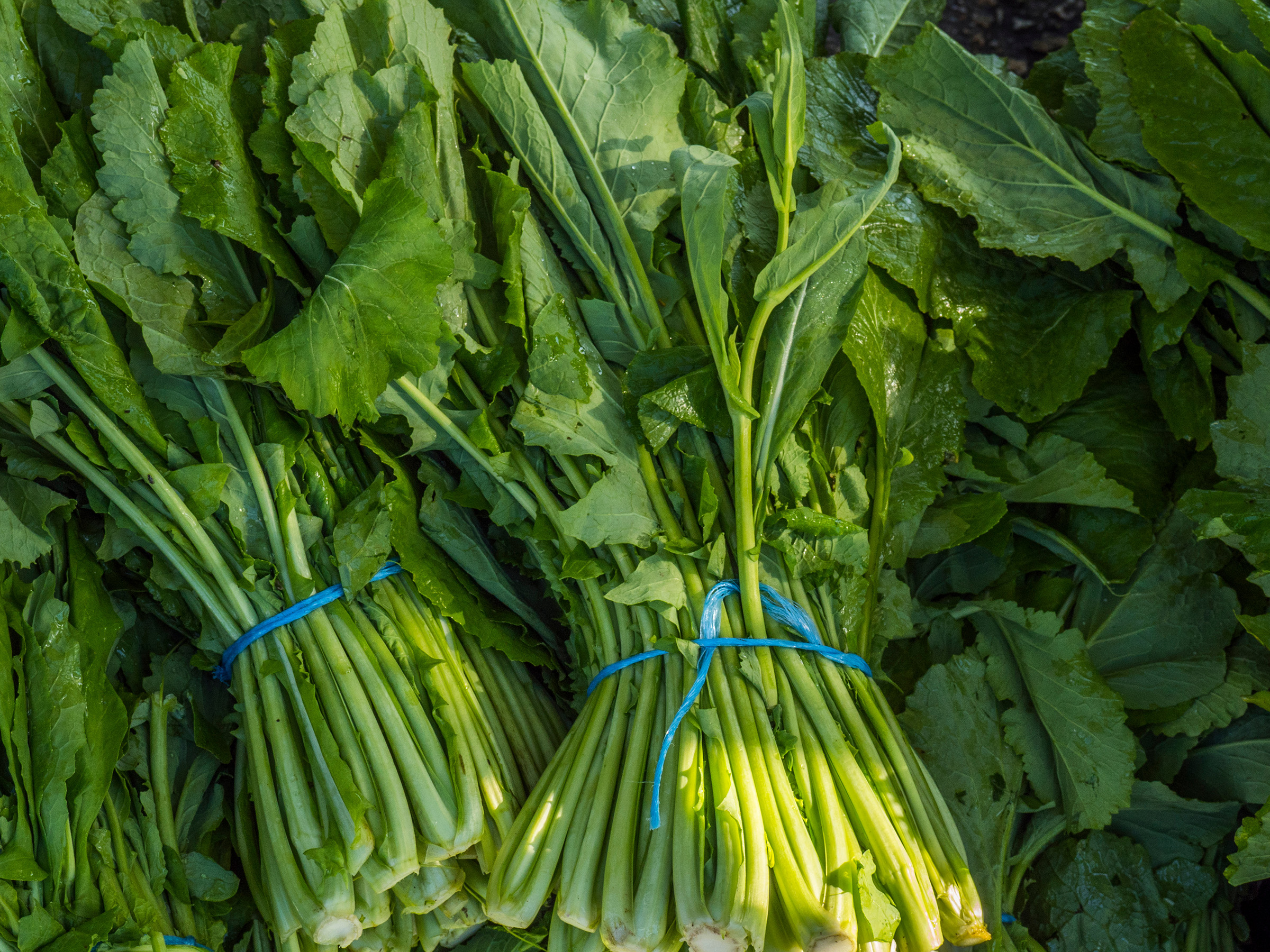 Turnip Greens